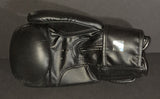 Jean Claude Van Damme autographed kickboxing glove Authentic Signings COA