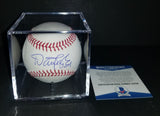 Dan Majerle autographed baseball Beckett COA