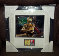 Anthony Daniels autographed and framed 8x10 Celebrity Authentics COA