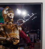 Anthony Daniels autographed and framed 8x10 Celebrity Authentics COA