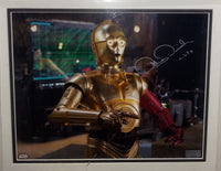 Anthony Daniels autographed and framed 8x10 Celebrity Authentics COA